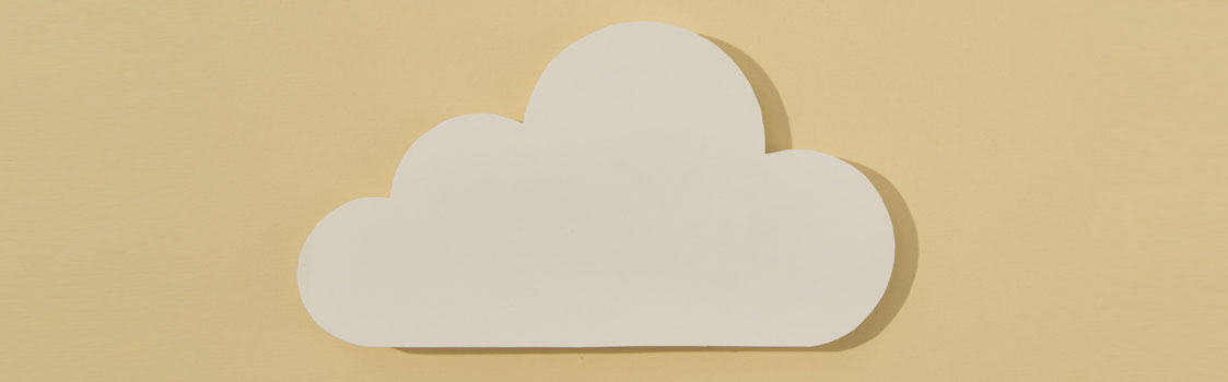 Who is responsible for cloud security—the provider or customer?