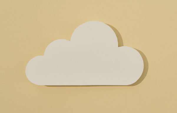 Who is responsible for cloud security—the provider or customer?